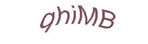 عبارت امنیتی