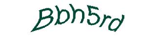 عبارت امنیتی
