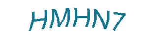 عبارت امنیتی