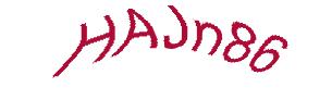 عبارت امنیتی