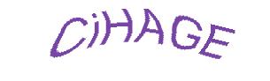 عبارت امنیتی