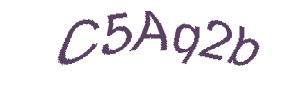 عبارت امنیتی