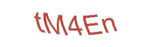عبارت امنیتی