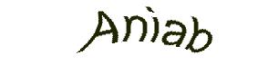عبارت امنیتی