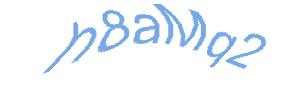 عبارت امنیتی