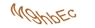عبارت امنیتی