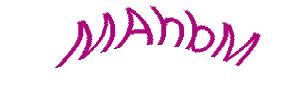 عبارت امنیتی