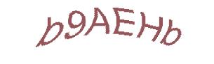 عبارت امنیتی