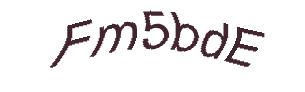 عبارت امنیتی