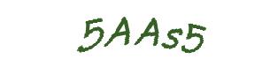 عبارت امنیتی