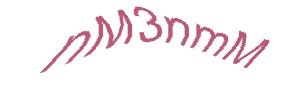 عبارت امنیتی