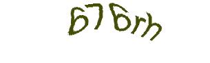 عبارت امنیتی