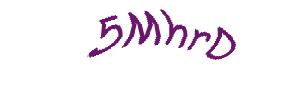 عبارت امنیتی