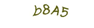 عبارت امنیتی