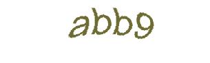 عبارت امنیتی