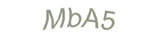 عبارت امنیتی