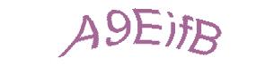 عبارت امنیتی