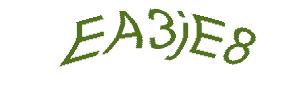 عبارت امنیتی