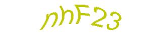 عبارت امنیتی