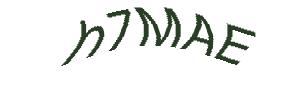 عبارت امنیتی