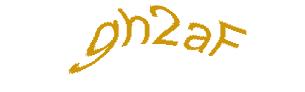 عبارت امنیتی