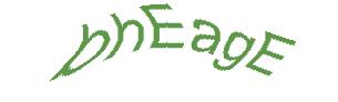 عبارت امنیتی