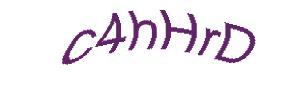 عبارت امنیتی