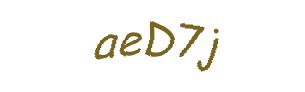 عبارت امنیتی