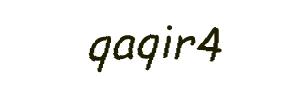عبارت امنیتی