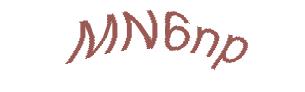 عبارت امنیتی