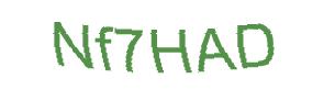 عبارت امنیتی