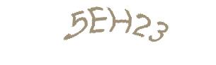 عبارت امنیتی