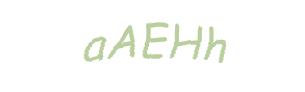 عبارت امنیتی