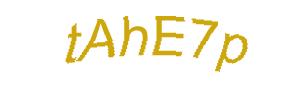 عبارت امنیتی