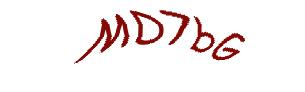 عبارت امنیتی