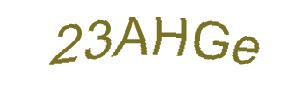 عبارت امنیتی