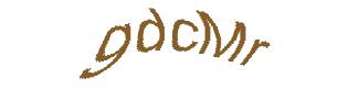 عبارت امنیتی