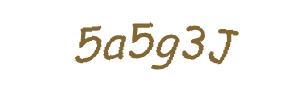 عبارت امنیتی