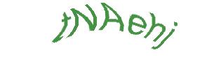 عبارت امنیتی