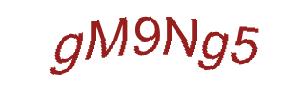عبارت امنیتی