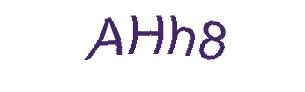 عبارت امنیتی