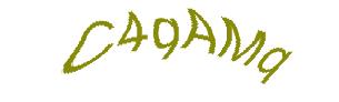 عبارت امنیتی