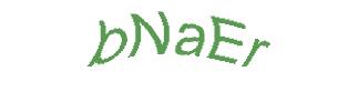 عبارت امنیتی