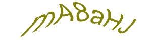 عبارت امنیتی