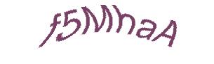 عبارت امنیتی