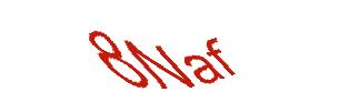عبارت امنیتی