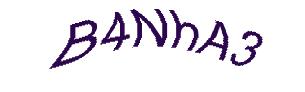 عبارت امنیتی