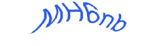 عبارت امنیتی