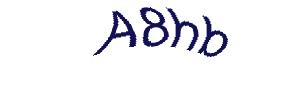 عبارت امنیتی
