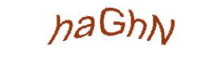 عبارت امنیتی